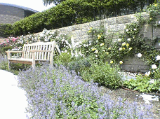 バラやハーブ類の花々に囲まれた、バラ園の風景写真