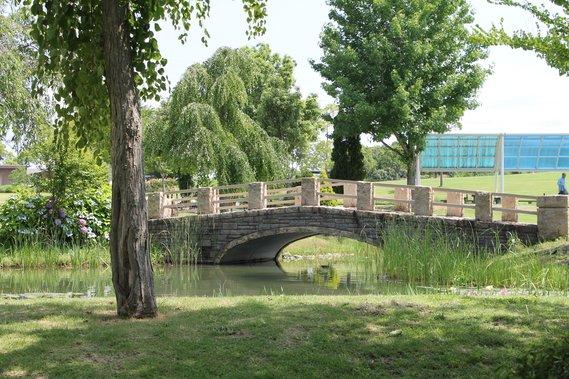 樹木に囲まれた池に架かっている橋の写真