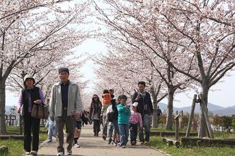 おの桜づつみ回廊の桜並木の下をウォーキングしている人たちの写真