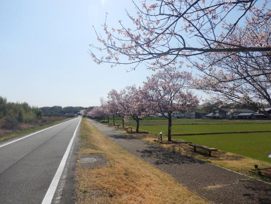 令和5年3月29日江戸彼岸遠景