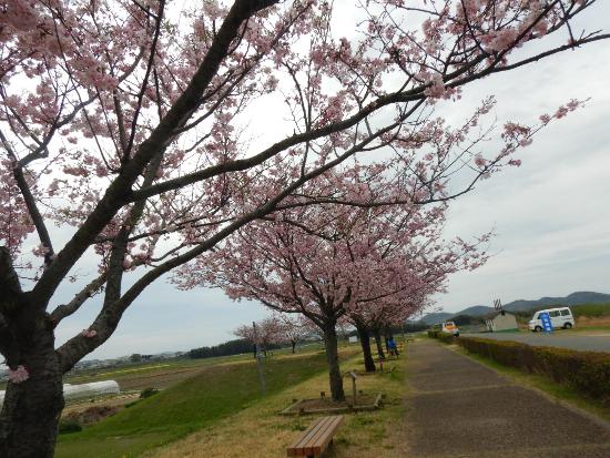 4/5思川遠景