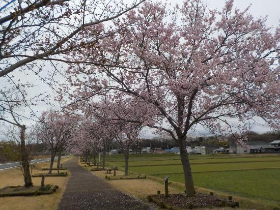 令和5年3月24日江戸彼岸遠景