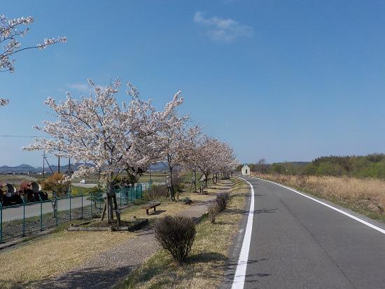 令和5年4月3日大島遠景