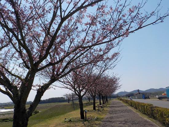 令和5年4月3日思川遠景