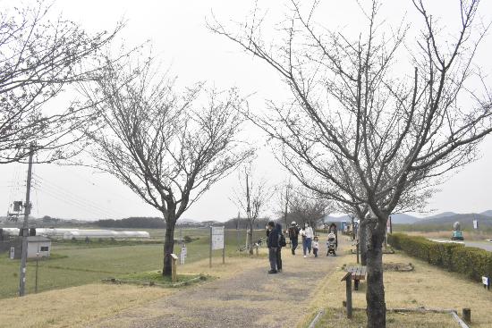 令和5年3月31日思川遠景