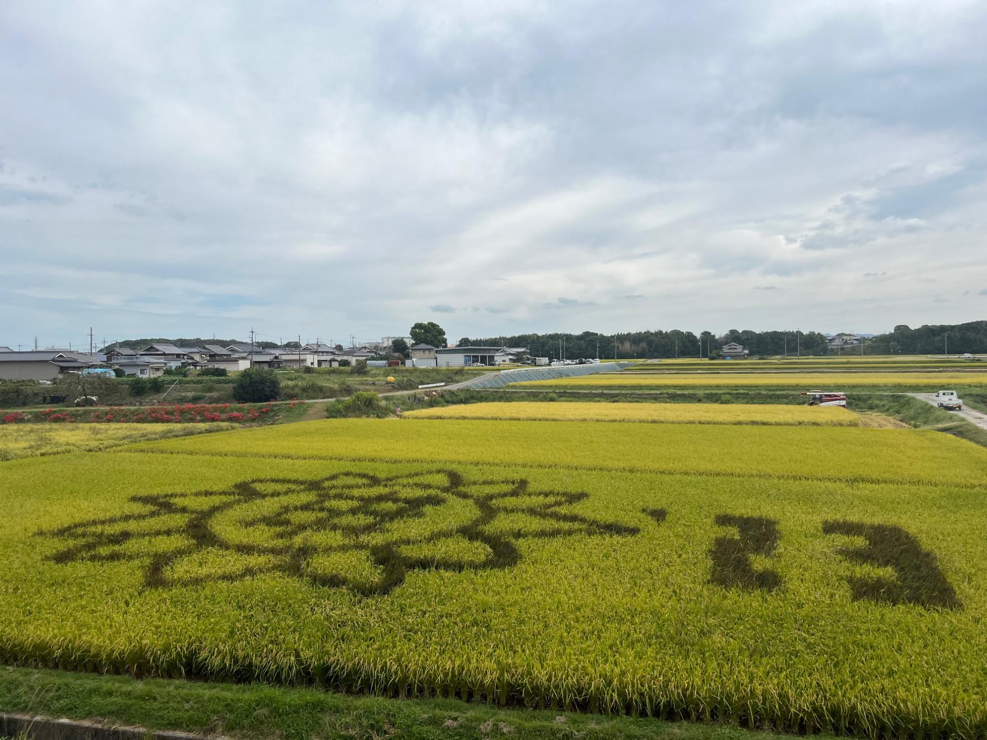 令和5年かわまち写真3