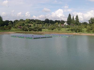 浄谷新池の水面に浮かぶフロート式太陽光発電パネルの写真