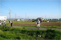 草刈り機を使い農道付近の雑草を処理する人たちの写真
