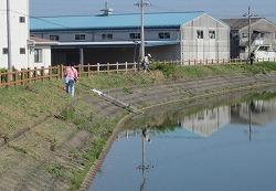 ため池を舗装するブロックに生えた雑草を処理する人の写真