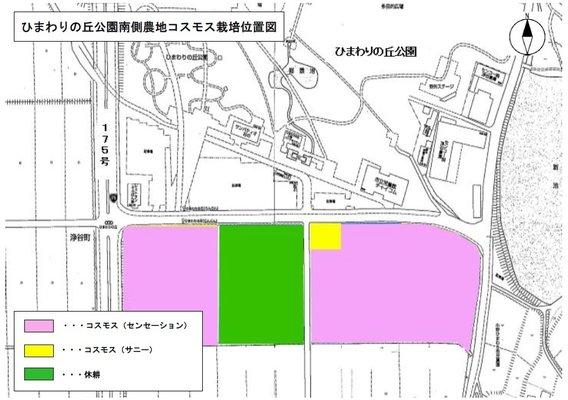 コスモス栽培位置図が記されたひまわりの丘公園内の地図