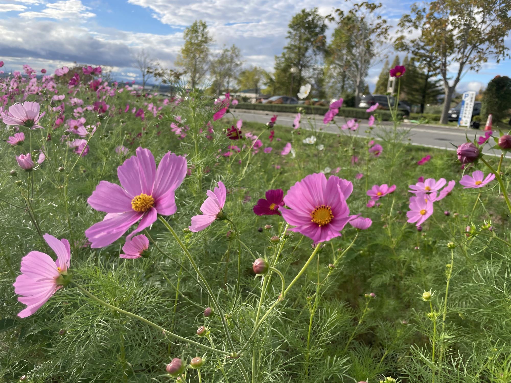 センセーション10201
