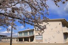 満開の桜の枝と来住小学校の外観の写真