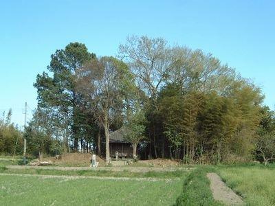 田畑や森に囲まれた河合廃寺跡の写真