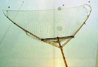 Y字型に網が張られている、鴨漁に使う大きな網の写真