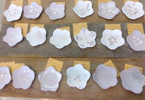 釉薬を掛けたお皿焼成前