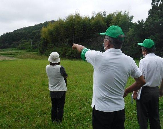草むらに立ち緑の帽子とワッペンを付けた男性が奥の農地を指差し他の男女2人もその方向を見つめている写真