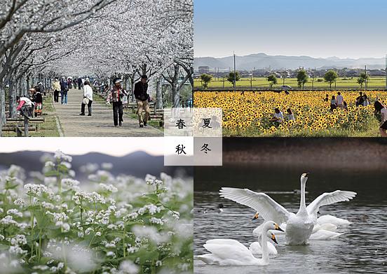 春夏秋冬 四季折々の小野市の風景写真