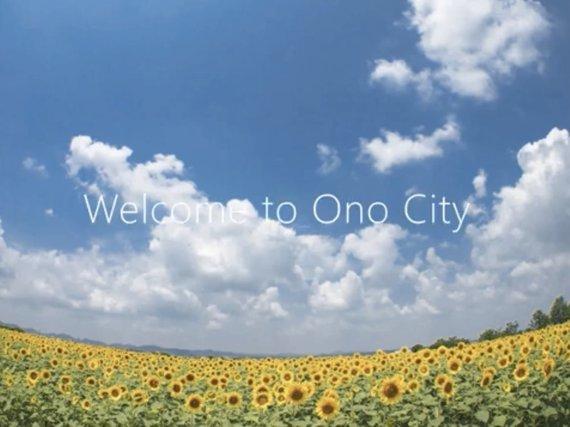 ひまわり畑の写真。Welcome to Ono City ~ Our friendship will last forever ~のリンク（YouTube動画）
